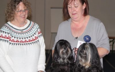 ZLHCA Christmas Clubshow
