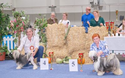 Internationale Hundeausstellung Tulln 2023- Bundesshow