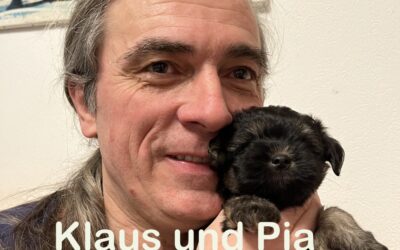 3 kleine Löwchen Welpen